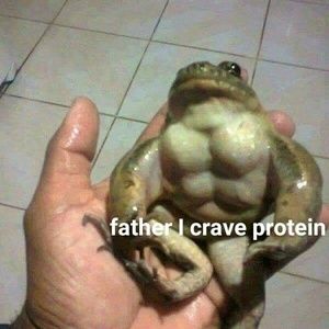 Meet your Posher, Timothy